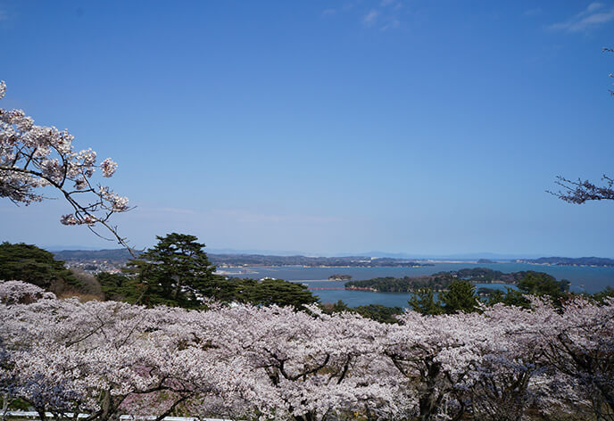 日本三景松島の見どころ　西行戻しの松公園