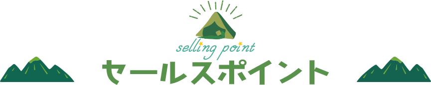 セールスポイント
