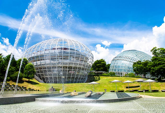 笛吹川フルーツ公園