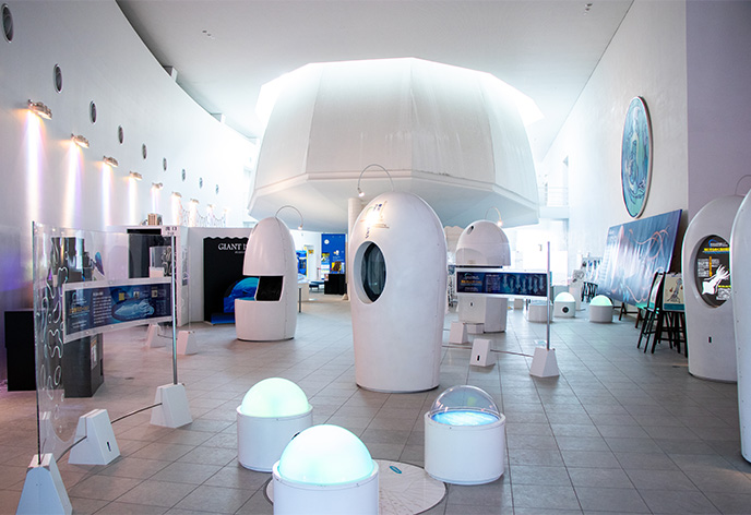 ほたるいかミュージアム