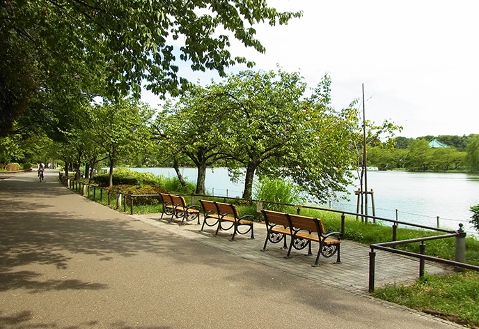 【東京の見どころ 2】都会でありながら自然も楽しめる