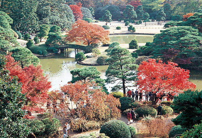 【東京の見どころ 2】都会でありながら自然も楽しめる