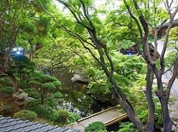 函館湯の川温泉 湯元 啄木亭