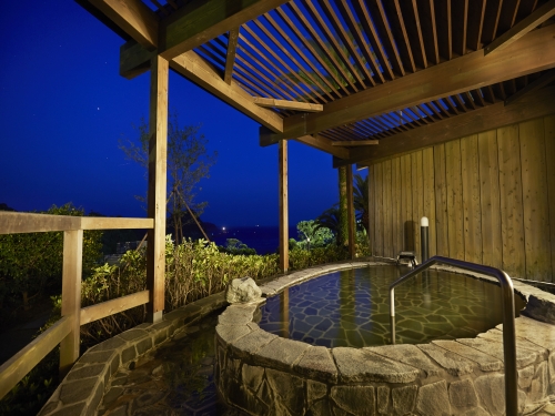 東京駅発◆２１日前割★サフィール踊り子で南伊豆★下田東急ホテル＜禁煙　オーシャンビュー◆スタンダードツイン２４平米＞夕食は和洋折衷コース料理♪【夕朝食付】１～３名１室◇ＪＲきっぷ駅受取