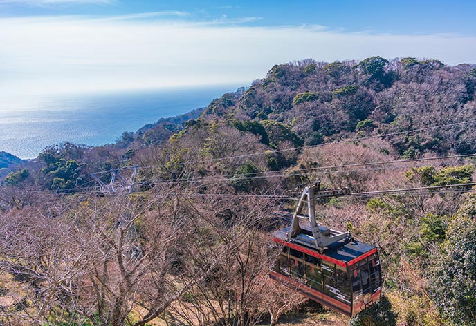 往復新幹線＋特典付！日帰り静岡