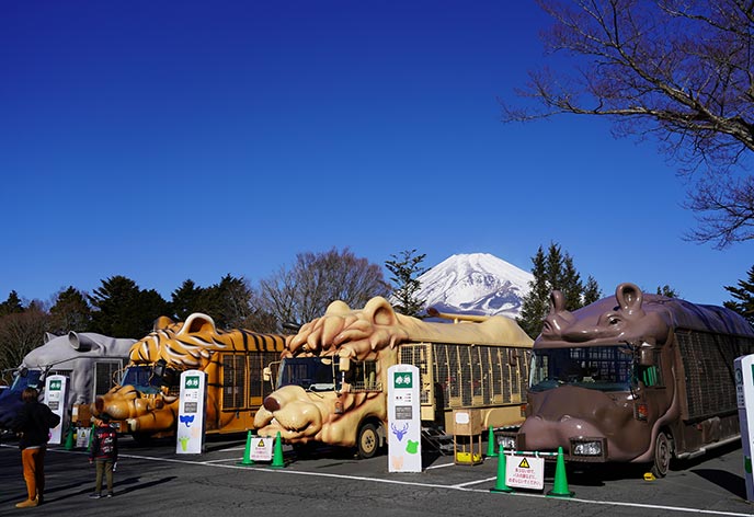 富士サファリパーク（裾野市）