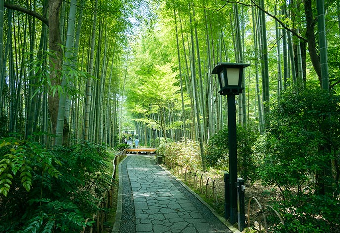 修善寺（伊豆市）