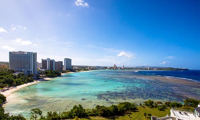 ザ ツバキ タワー4