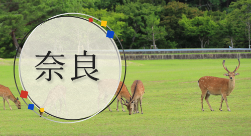 奈良旅行・ツアー