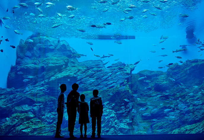 仙台うみの杜水族館