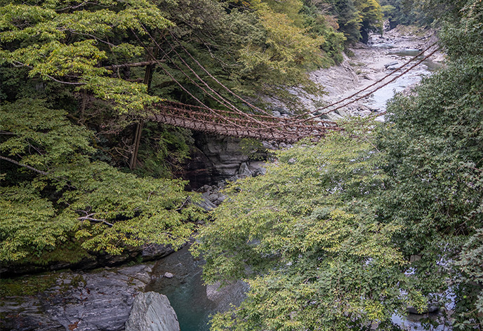祖谷のかずら橋