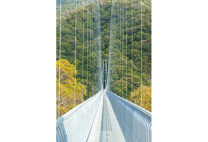 綾の照葉大吊橋