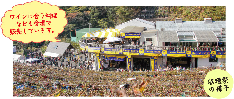 収穫祭のイメージ