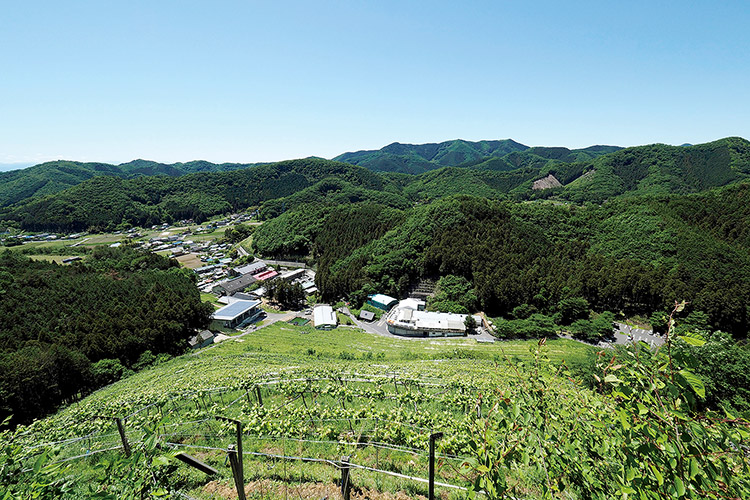 ココ・ファーム・ワイナリー