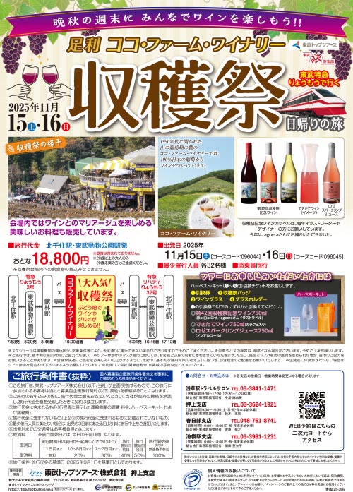 旅行パンフレット