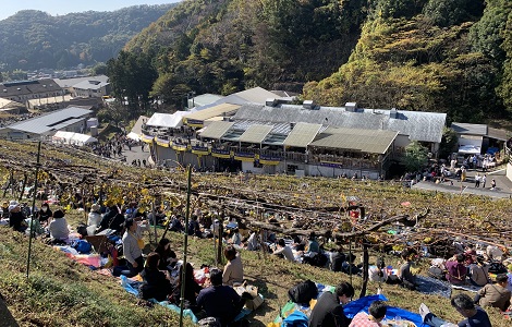 収穫祭会場の様子 イメージ１
