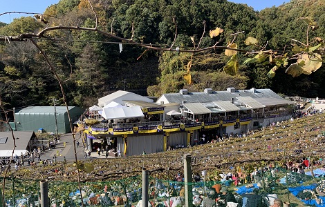 収穫祭会場の様子 イメージ２