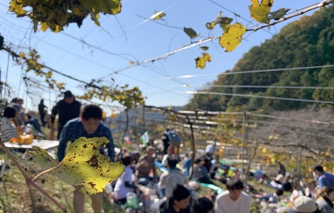 収穫祭会場の様子 イメージ４