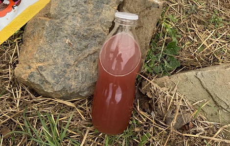 できたてワイン イメージ