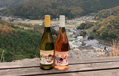 ぶどう畑の頂上から イメージ４