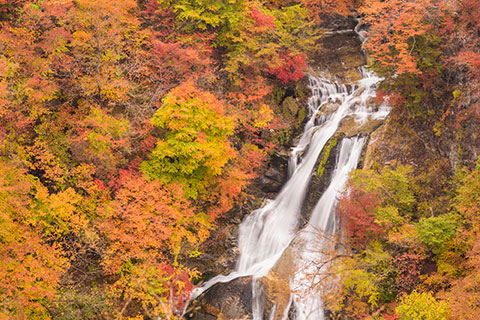 霧降の滝