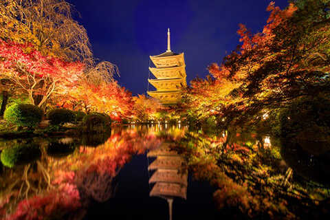 東寺（教王護国寺）