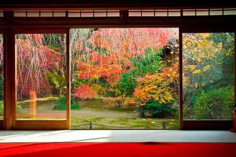 妙心寺塔頭　退蔵院