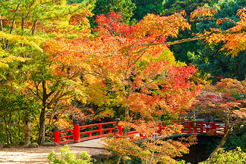 宮島・紅葉谷公園