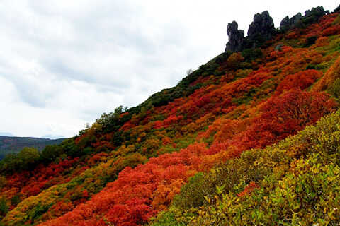 大雪山国立公園