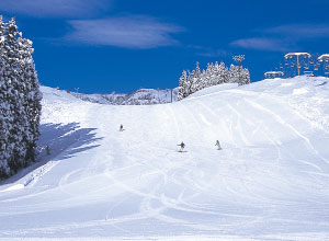 上越国際スキー場