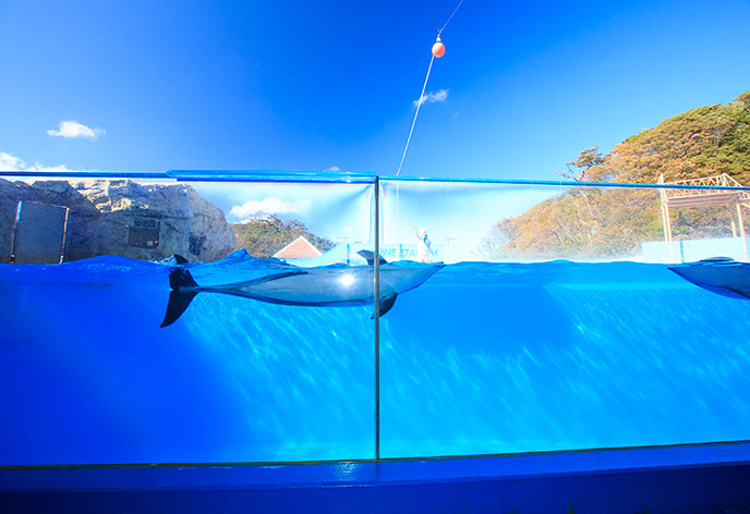 鬼怒川温泉ロープウェイ