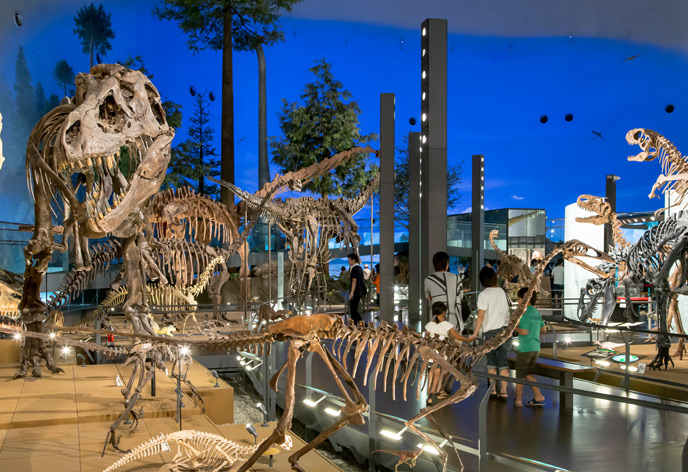 福井県立恐竜博物館
