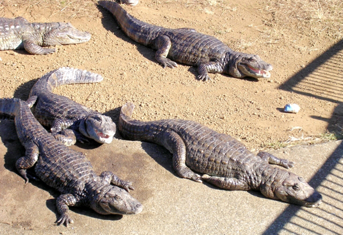 熱海サンビーチ