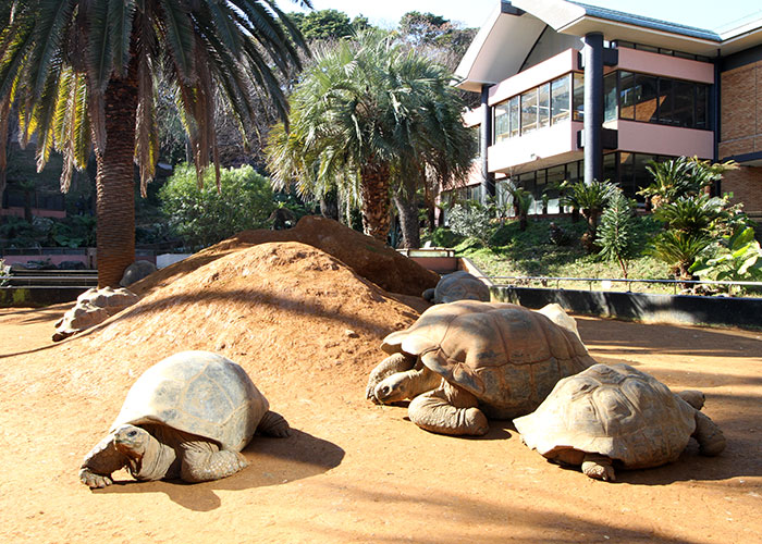 体感型動物園iZoo