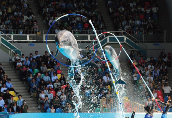 アドベンチャーワールド