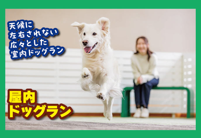 亀の井ホテル 塩原 ワンちゃんの宿　室内ドッグラン（イメージ）