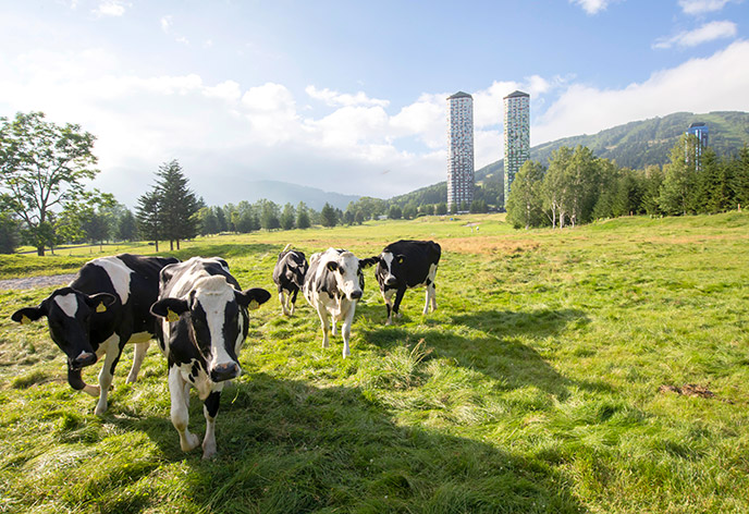 トマム ザ・タワー by 星野リゾート　ファーム外観