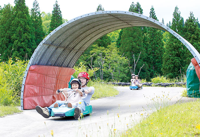 ニュー・グリーンピア津南1