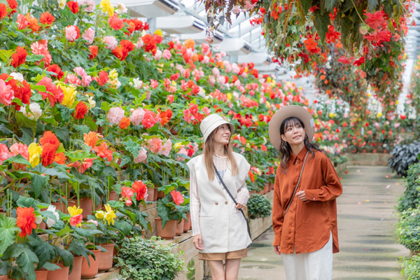 花いちもんめ着