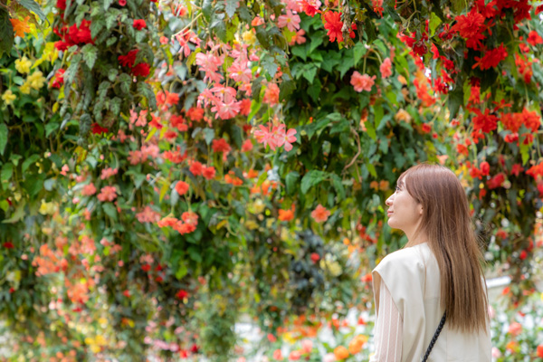 【6号車】コンパートメント／定員4名の画像①