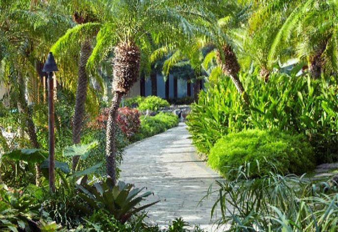 ヒルトン・ハワイアン・ビレッジ・ワイキキ・ビーチ・リゾート　設備3