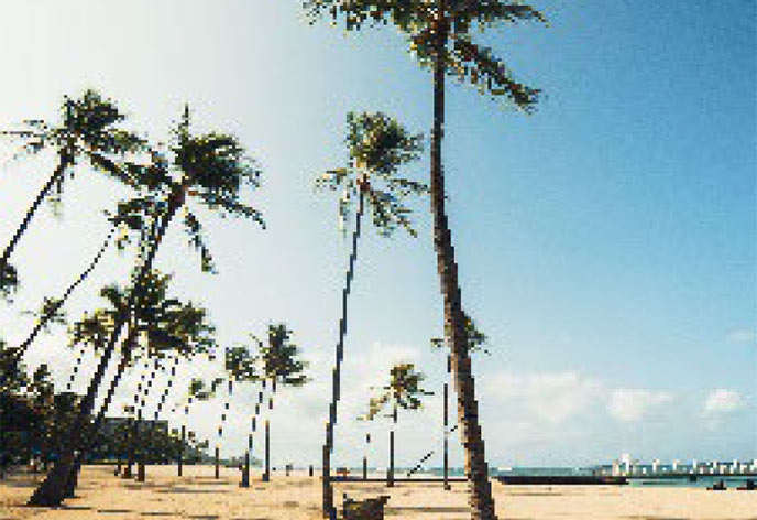 ヒルトン・ハワイアン・ビレッジ・ワイキキ・ビーチ・リゾート　設備8