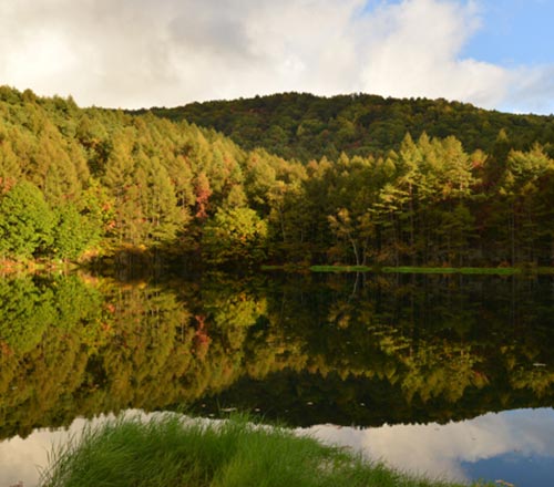 龍宮窟(碧テラス)