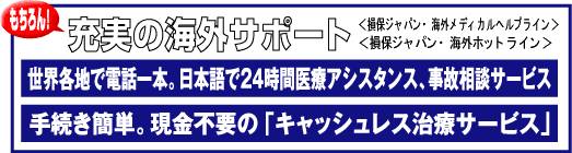 充実の海外サポート