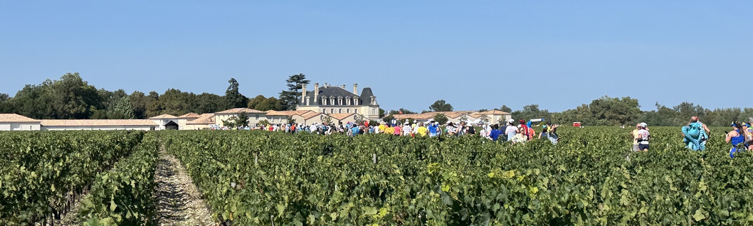 2025年メドックマラソンの様子（参考写真）