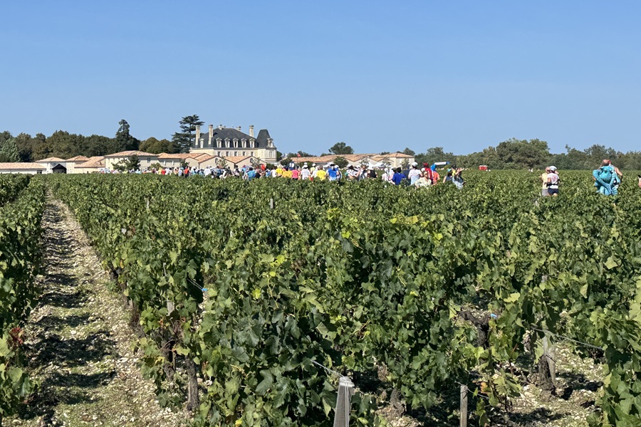 2025年メドックマラソンの様子