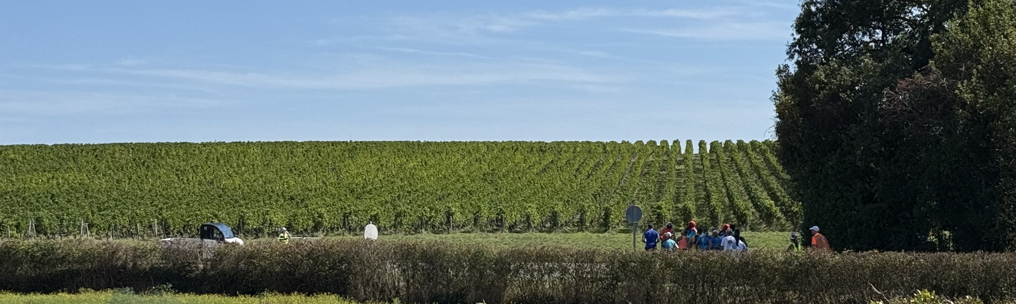 2024年メドックマラソンの様子