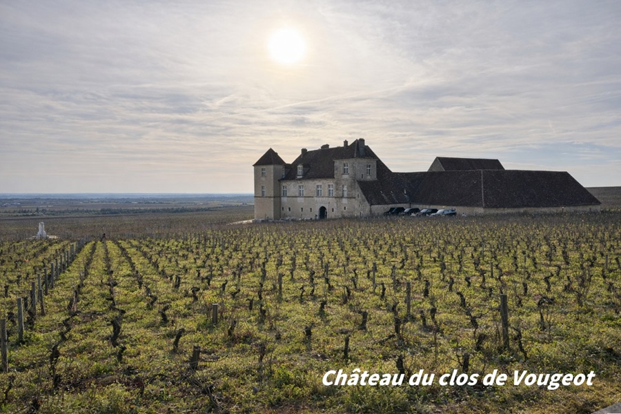 Château du clos de Vougeot