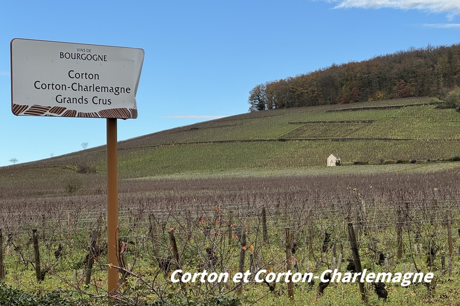 Corton-Charlemagne, Grand Cru