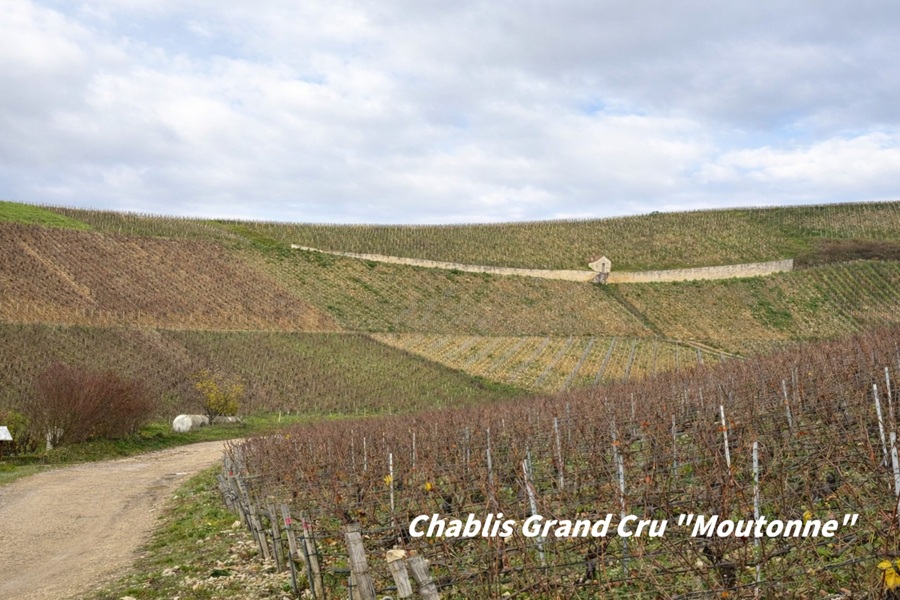 Chablis Grand Cru "Moutonne"
